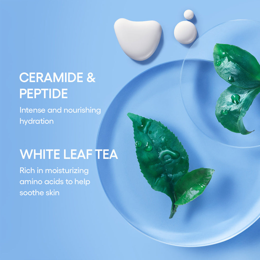 Cream Skin Mist Duo
